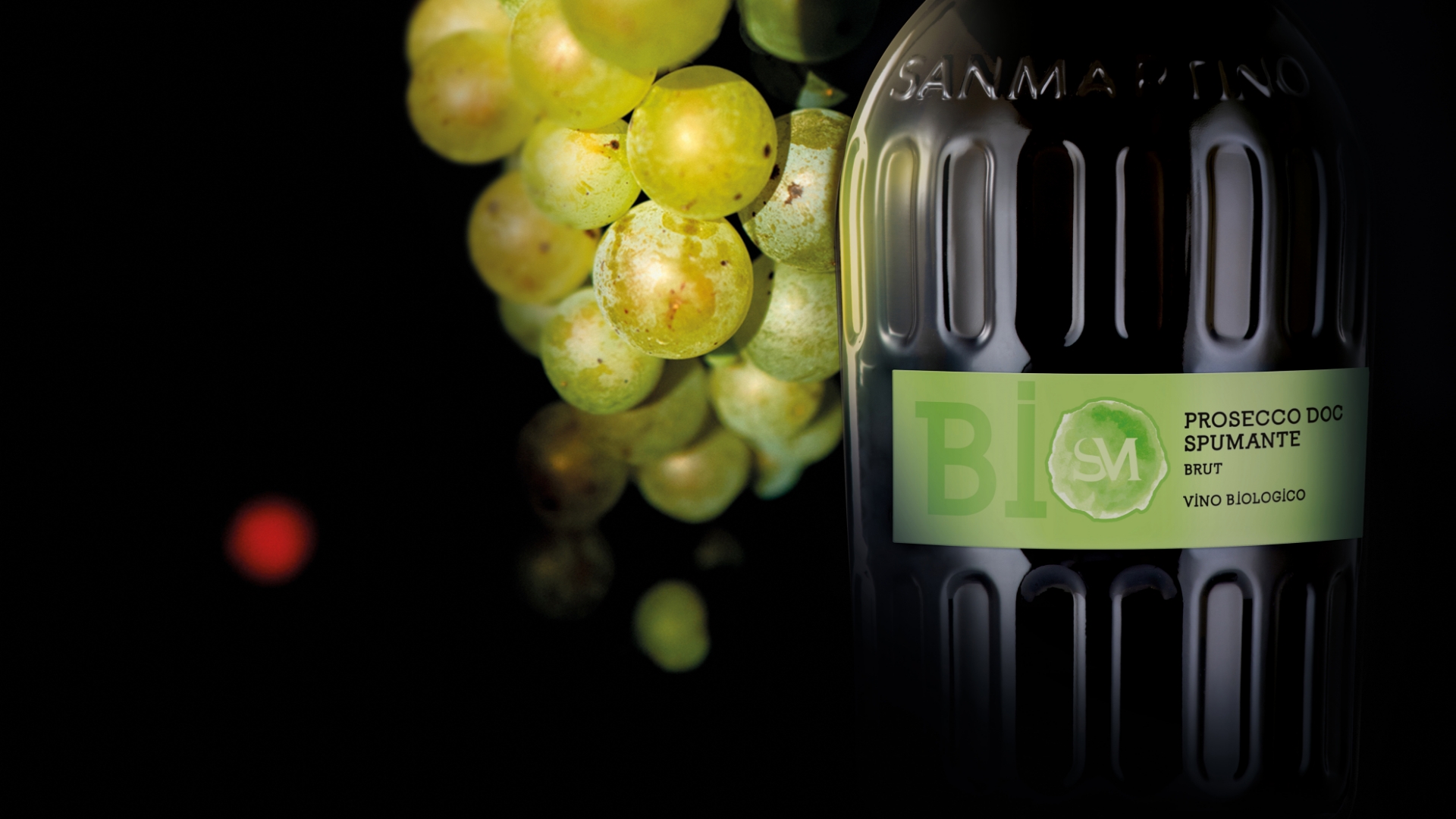 <em>Make way, I'm coming</em><br/>AND I'M BIO